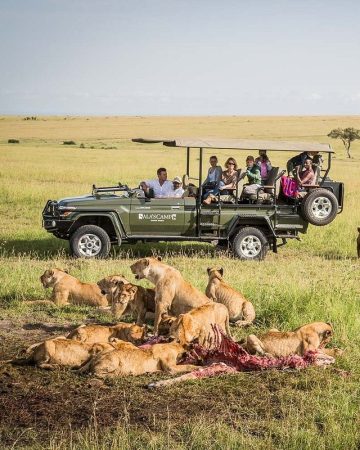 Game Drives